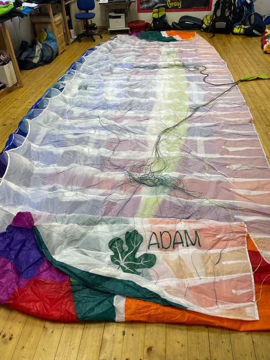 BGD, Adam, M (406A)